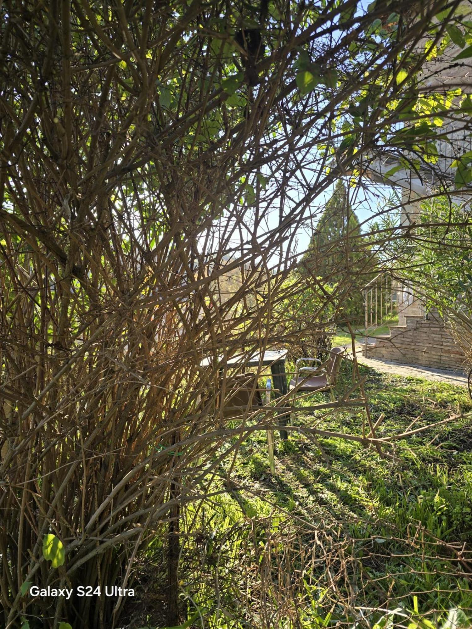 Podere Ponticini Sienne Extérieur photo