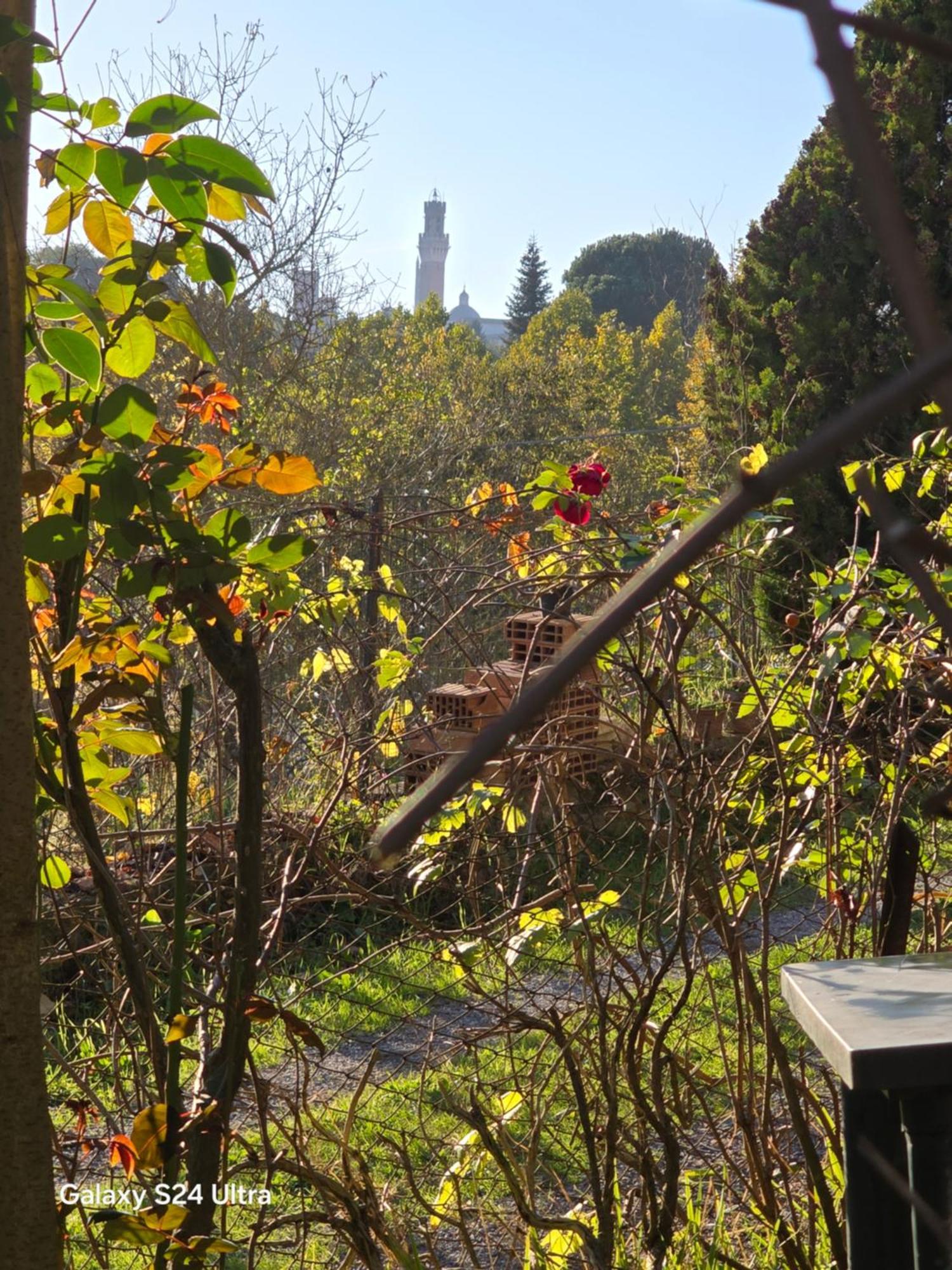 Podere Ponticini Sienne Extérieur photo